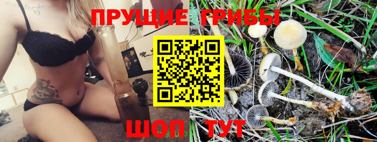 Галлюциногенные грибы Psilocybe  Галлюциногенные грибы MAGIC MUSHROOMS  Екатеринбург  Вход с VPN 